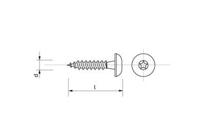 Vrut s půlkulatou nízkou hlavou na torx 6 x 30 mm Zn